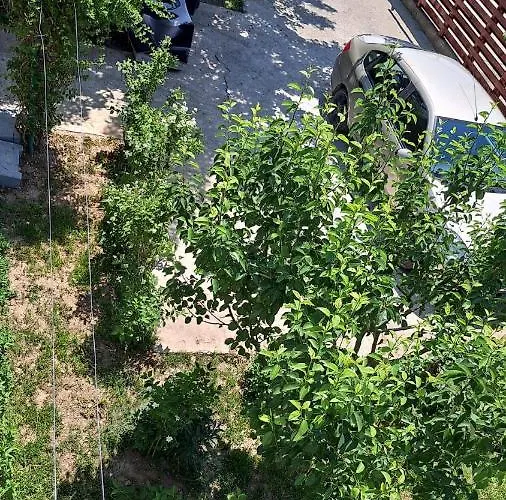 Accommodatie bij particulieren Casa Gabi