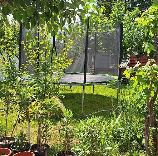 Accommodatie bij particulieren Casa Gabi